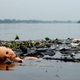 Contaminated waters in Guanabara Bay. Image: AP